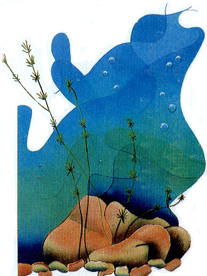 water
