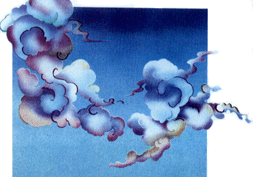 the winds